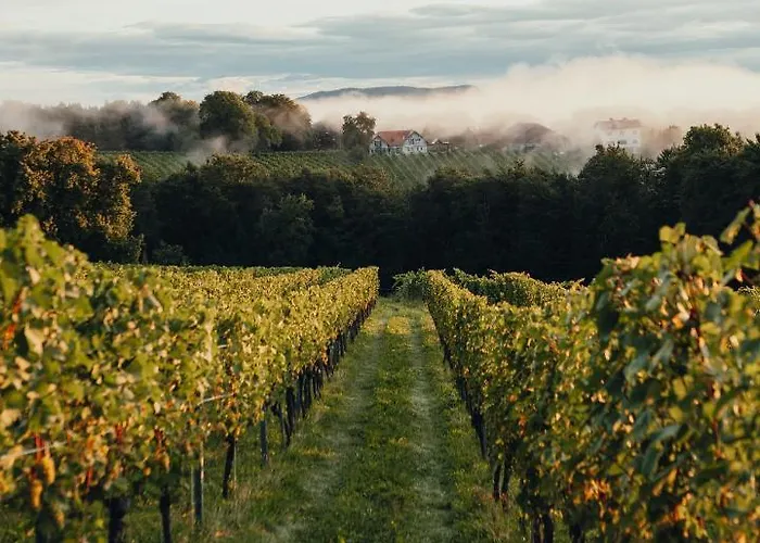 Weinquartier Pichler-schober Mitteregg