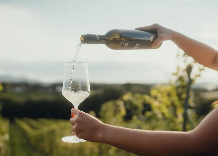 Weinquartier Pichler-schober Alojamento de Acomodação e Pequeno-almoço